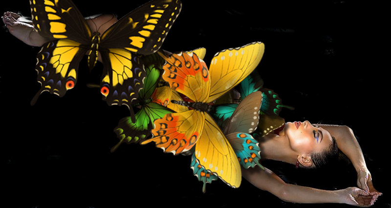 The beautiful chinese actress Bai Ling is attacked by butterflies !
Click on the picture to make them go away and undress her !