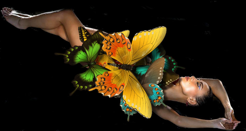 The beautiful chinese actress Bai Ling is attacked by butterflies !
Click on the picture to make them go away and undress her !